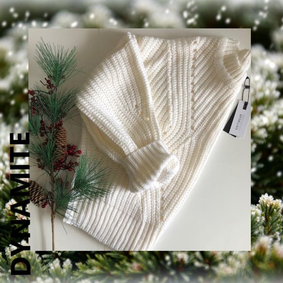 Dynamite Sweaters - NWT DYNAMITE Pointelle Chunky Knit Sweater